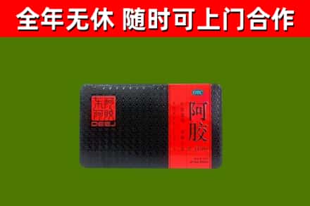 市中区回收阿胶